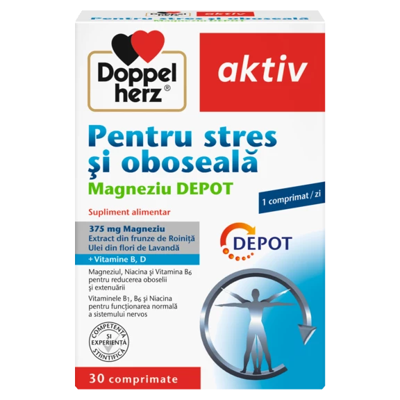 Illustration of the product packaging Doppelherz aktiv Pentru Stres și Oboseală  front view